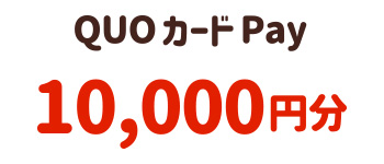 QUOカードPay 10,000円分